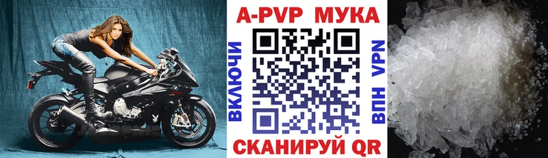APVP СК КРИС  Высоцк 